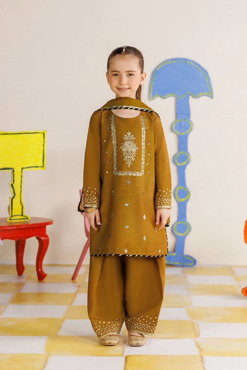 Chiffon 3 Piece Ready-to-Wear Suit