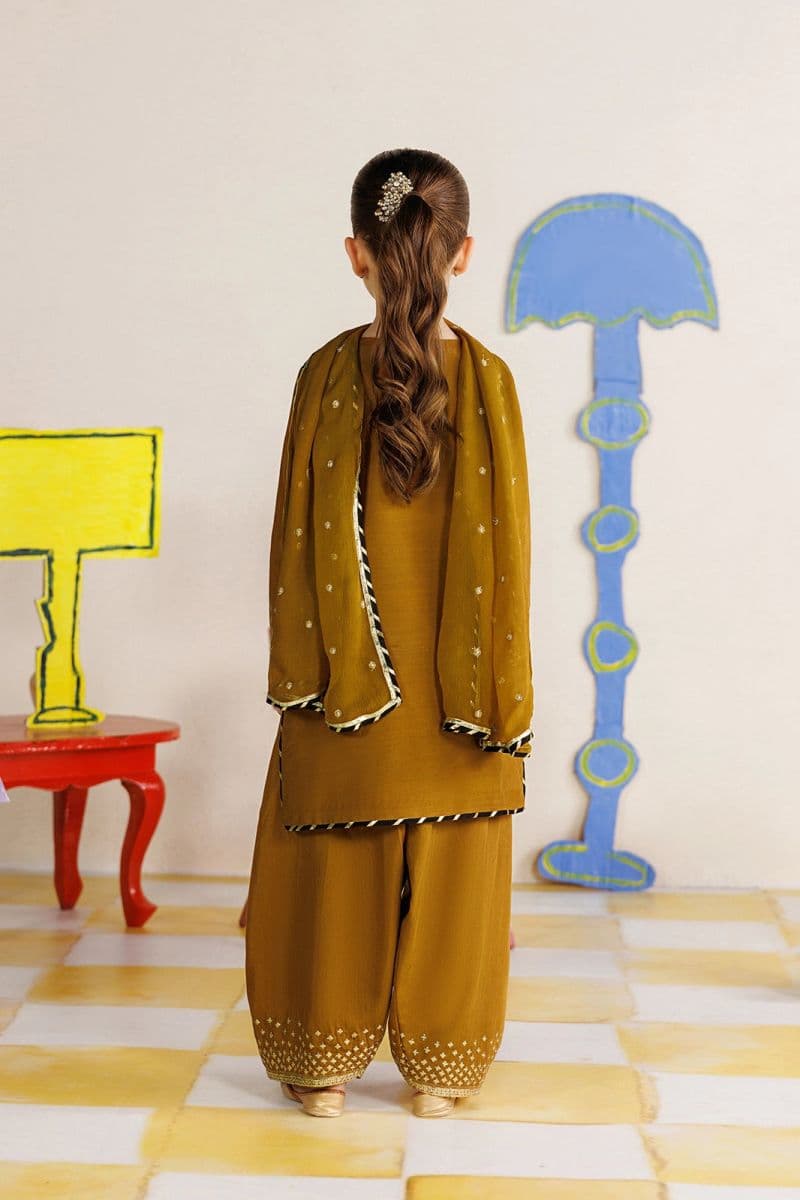 Chiffon 3 Piece Ready-to-Wear Suit