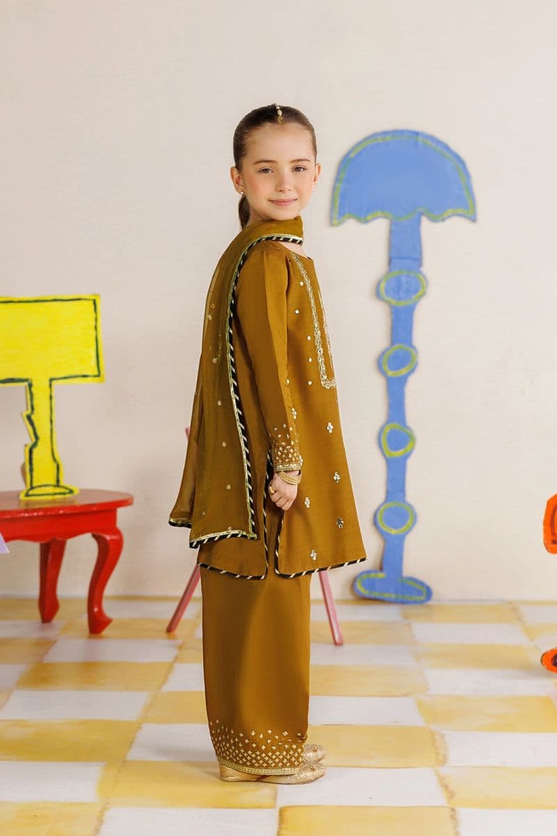 Chiffon 3 Piece Ready-to-Wear Suit