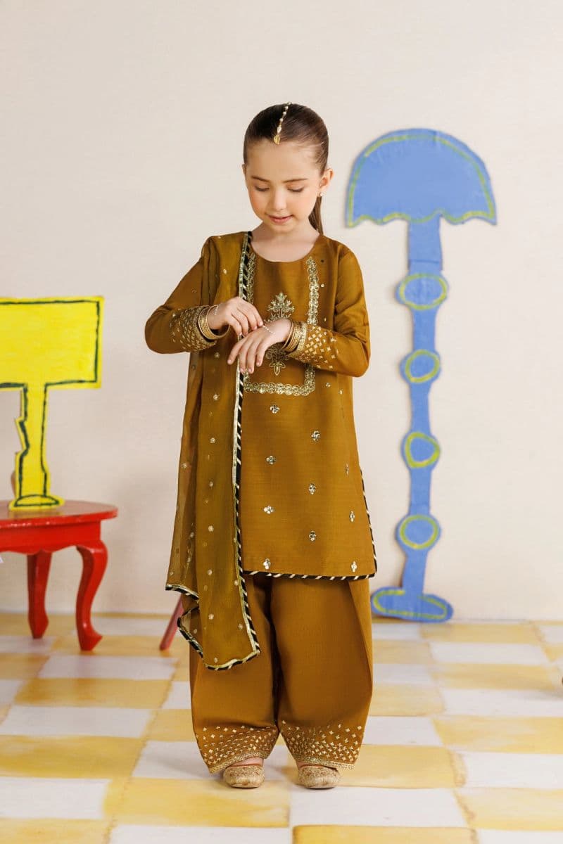 Chiffon 3 Piece Ready-to-Wear Suit