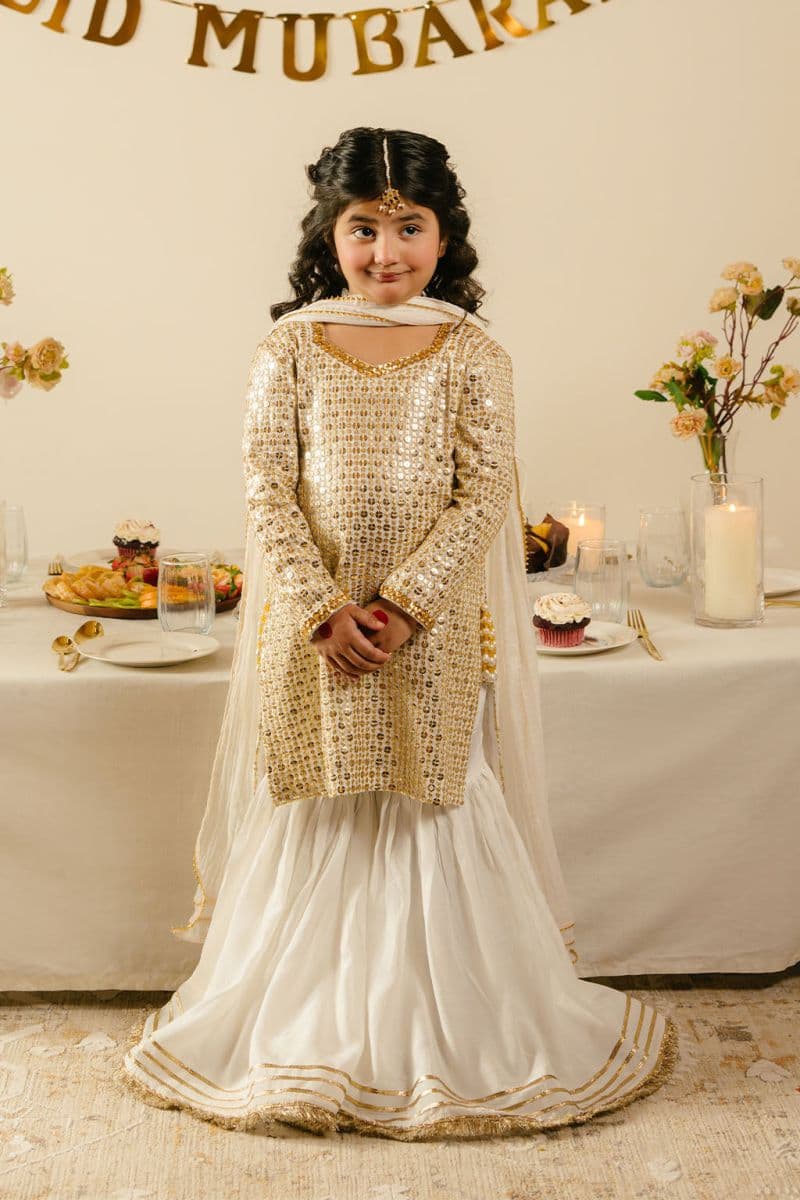 Chiffon 3 Piece Ready-to-Wear Suit