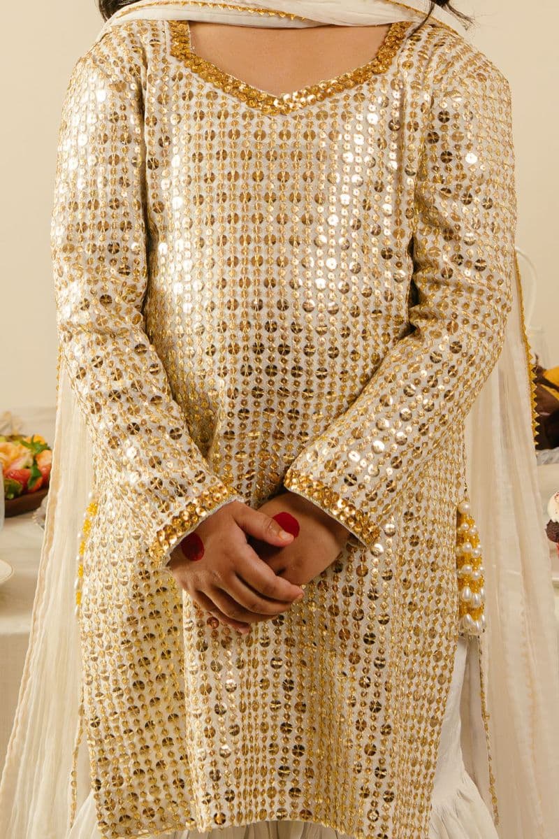 Chiffon 3 Piece Ready-to-Wear Suit