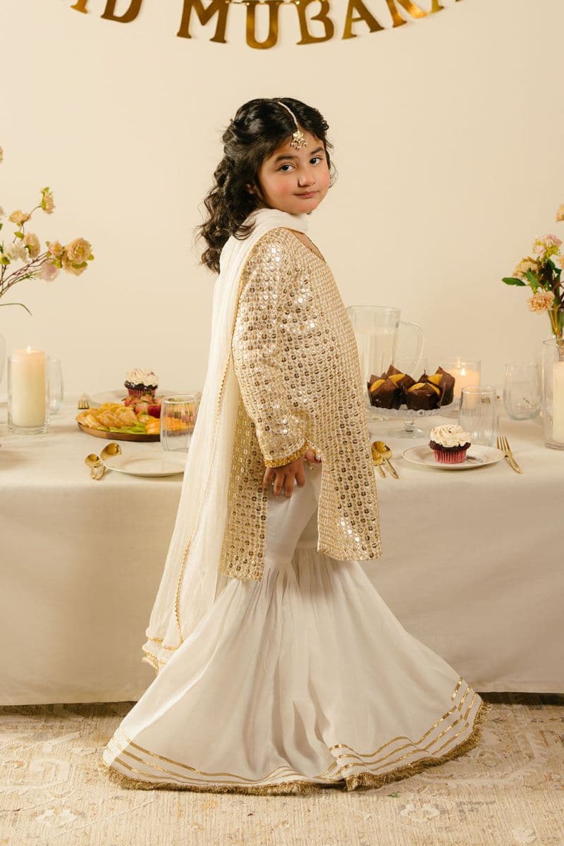 Chiffon 3 Piece Ready-to-Wear Suit