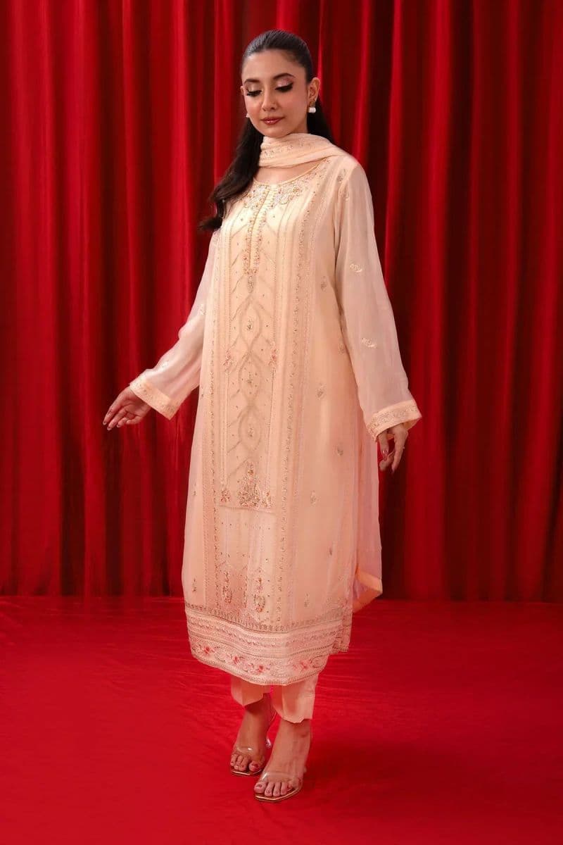 Chiffon Adda + Embroidered 3 Pc Suit thumbnail