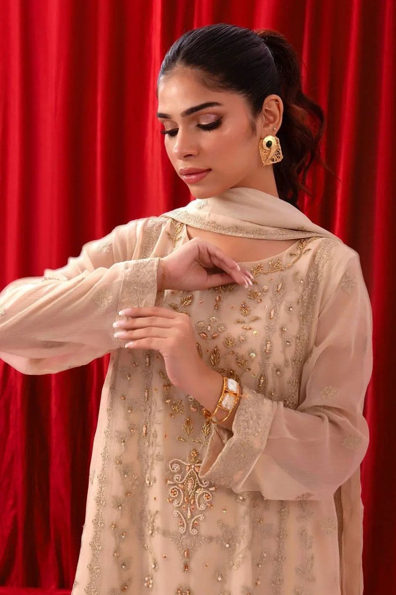 Chiffon Adda + Embroidered 3 Pc Suit thumbnail