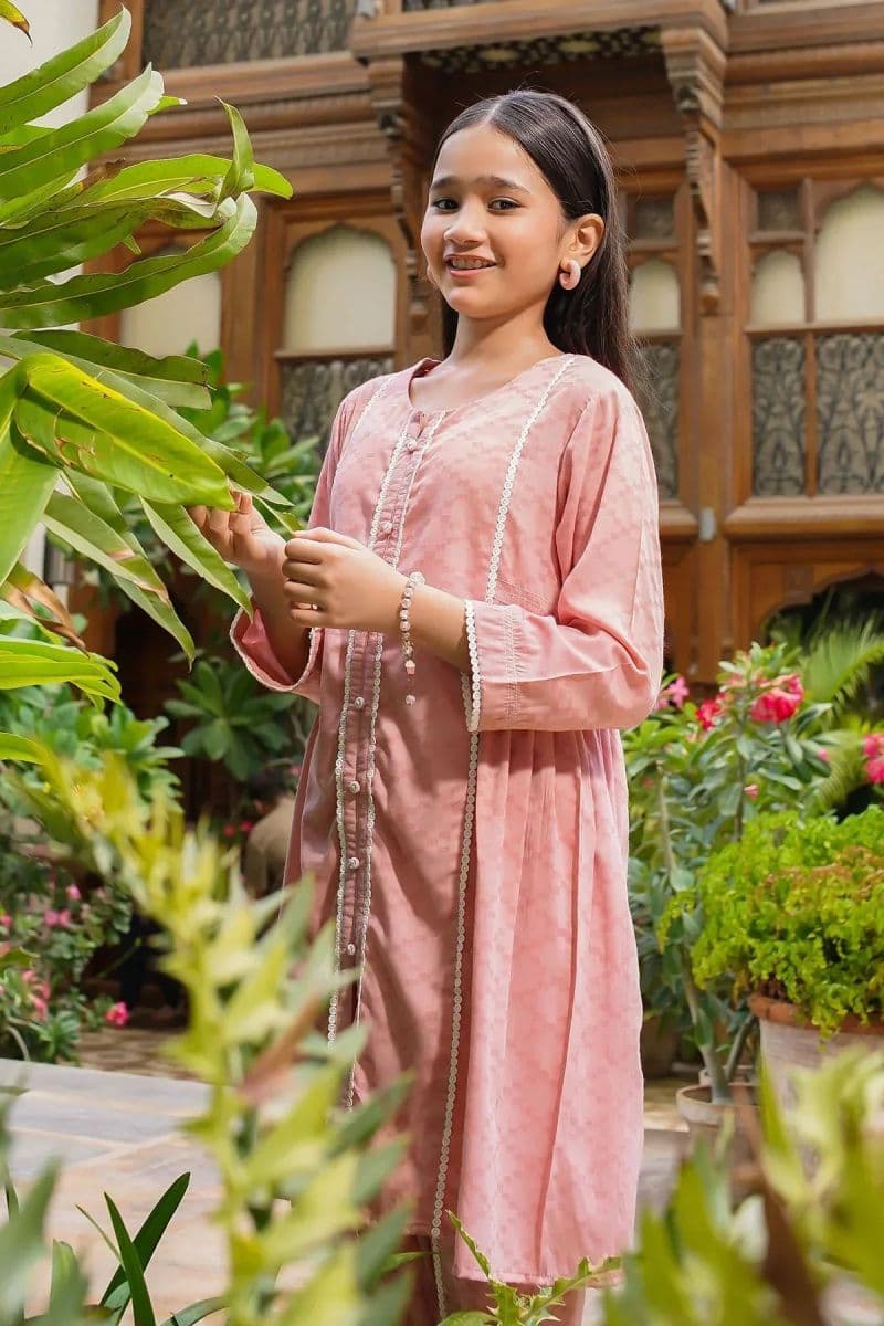 Chambray Cotton Embellished 2 Pc Suit thumbnail