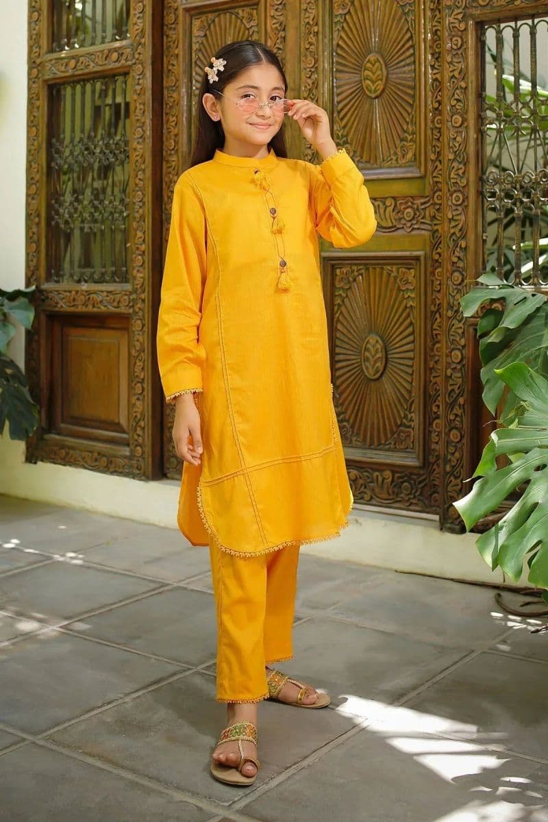 Dobby Cotton Embellished 2 Pc Suit thumbnail