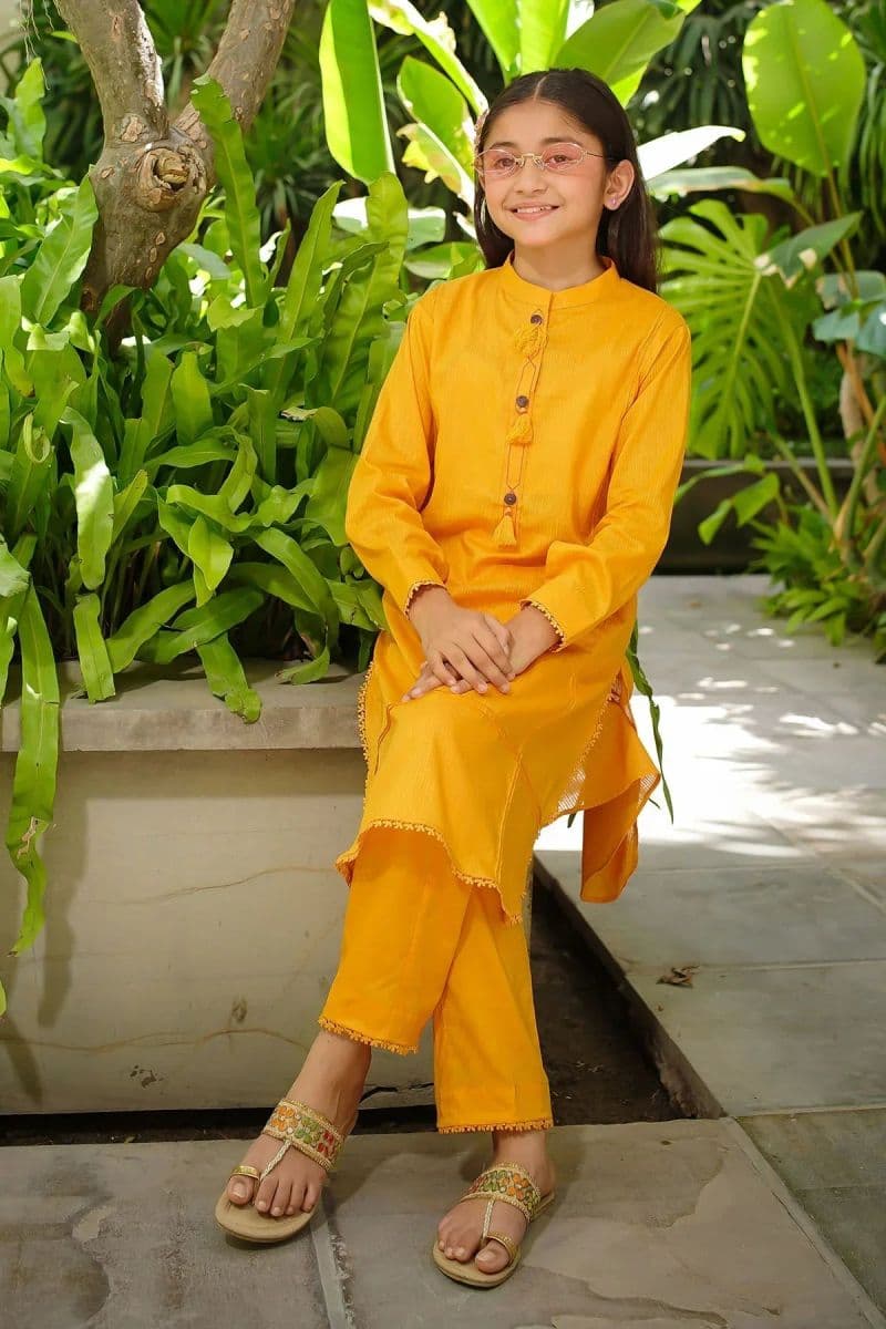 Dobby Cotton Embellished 2 Pc Suit thumbnail