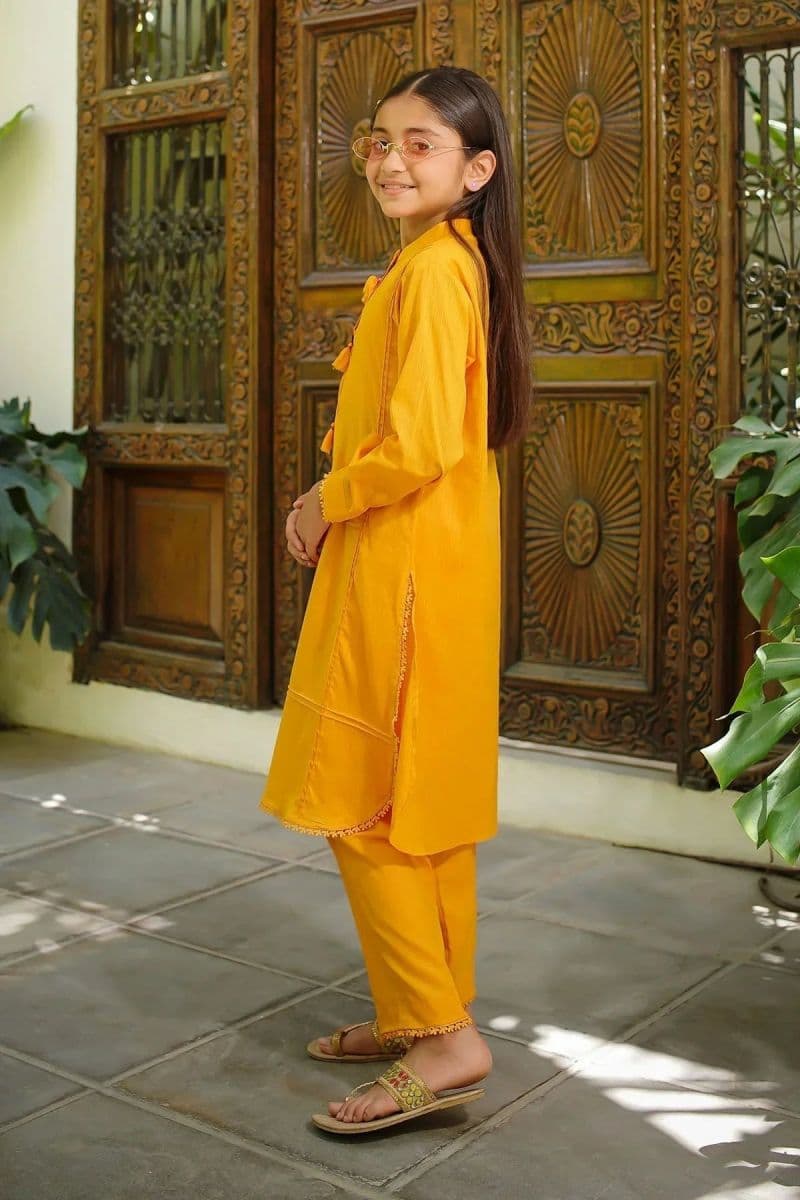 Dobby Cotton Embellished 2 Pc Suit thumbnail