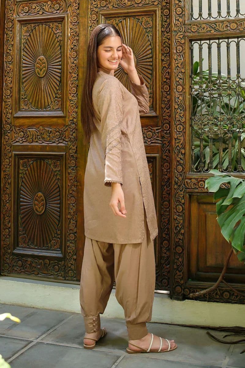 Dobby Cotton Embellished 2 Pc Suit thumbnail