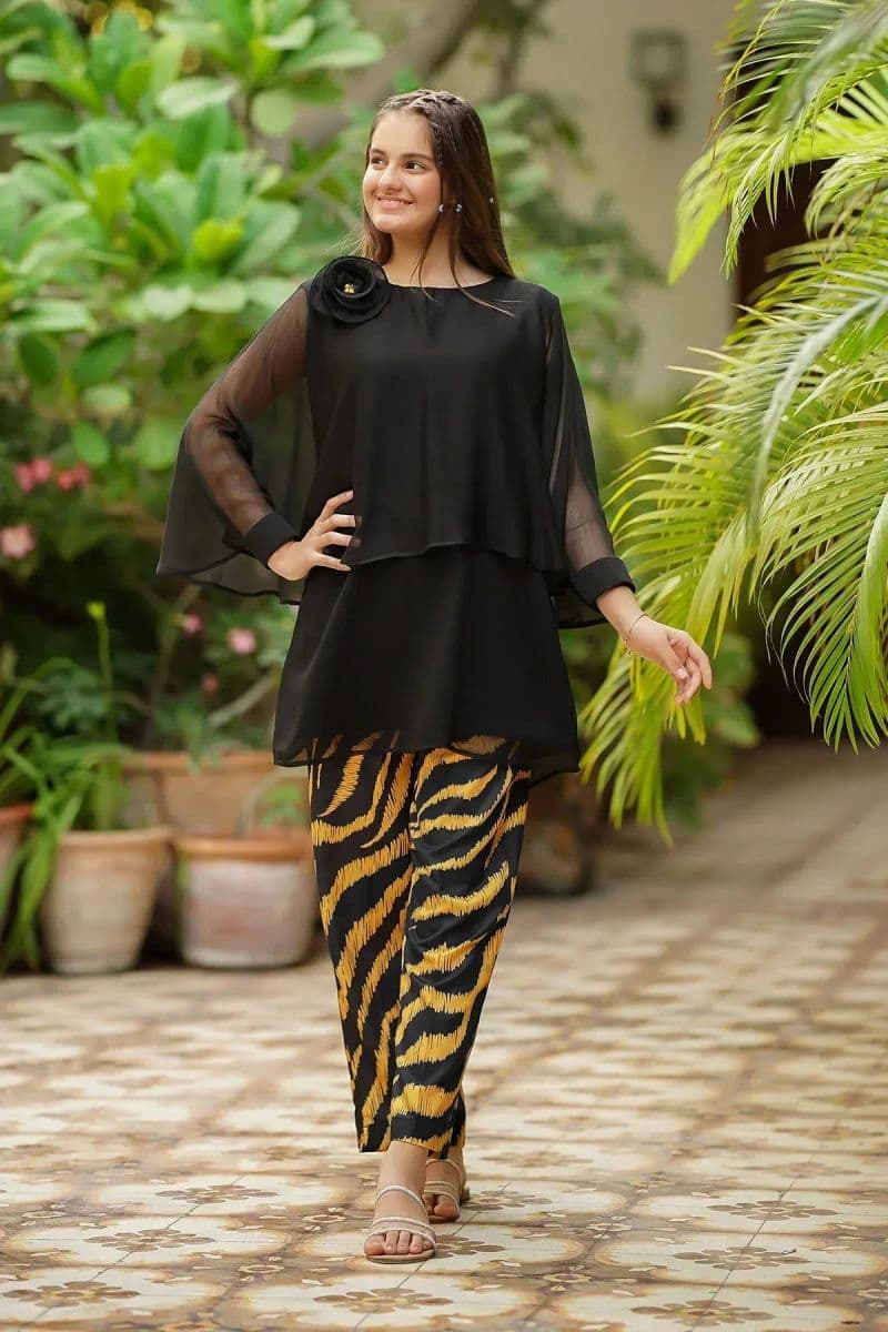 Chiffon Embellished 2 Pc Suit