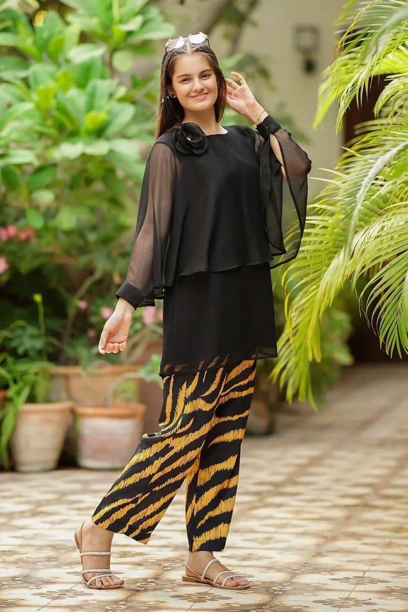 Chiffon Embellished 2 Pc Suit