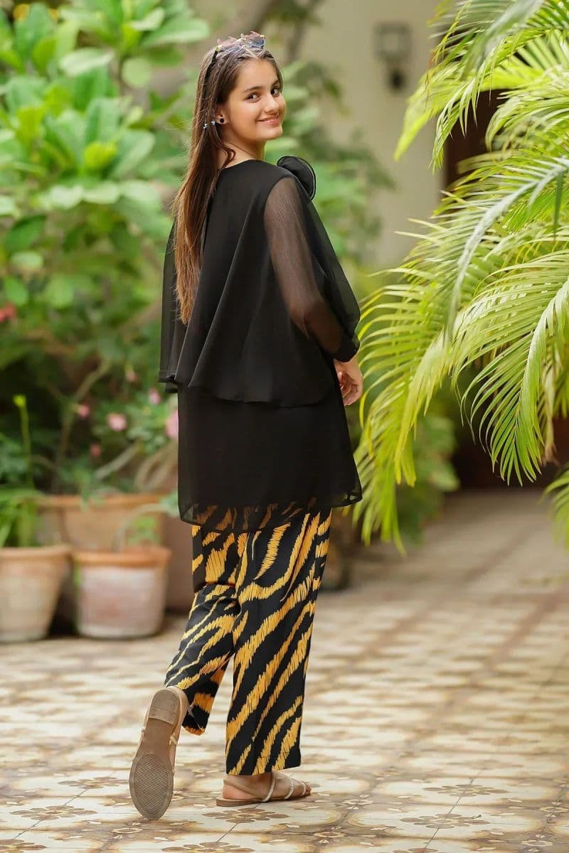 Chiffon Embellished 2 Pc Suit