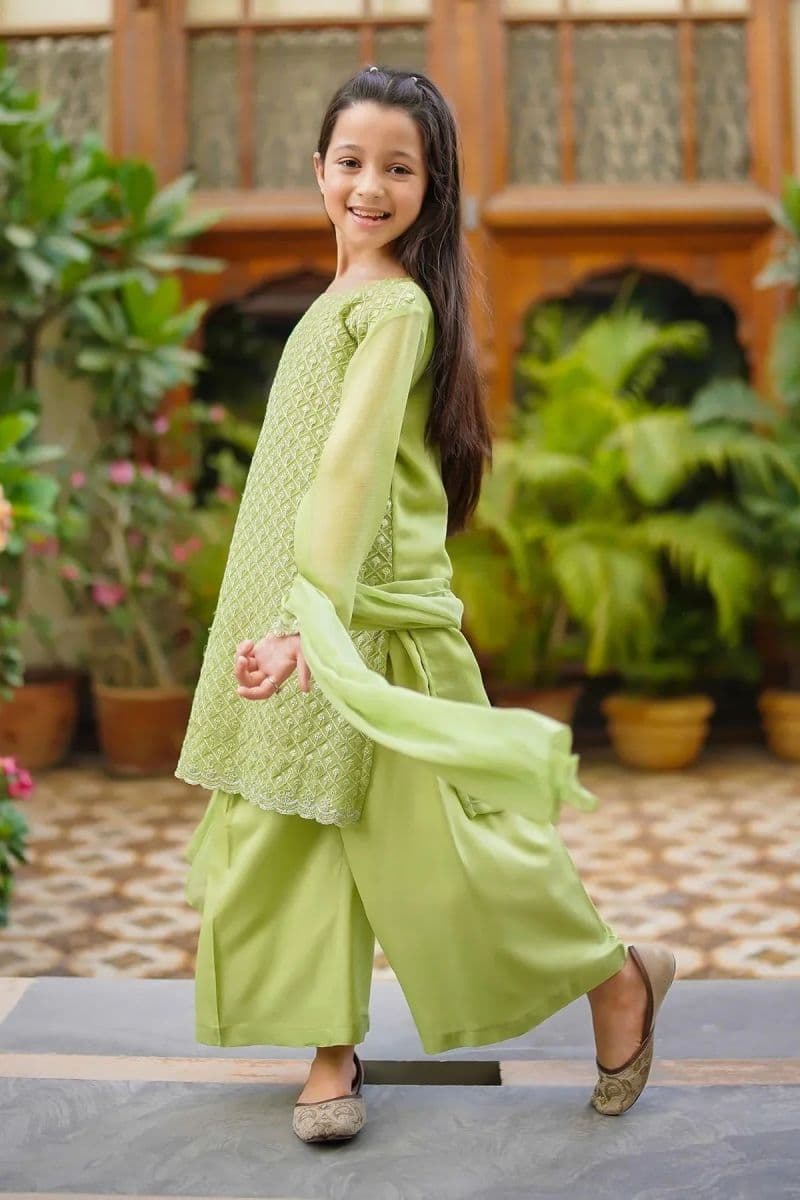 Chiffon Embroidered 3 Pc Suit
