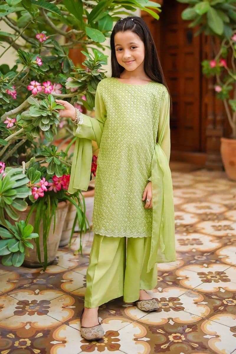 Chiffon Embroidered 3 Pc Suit