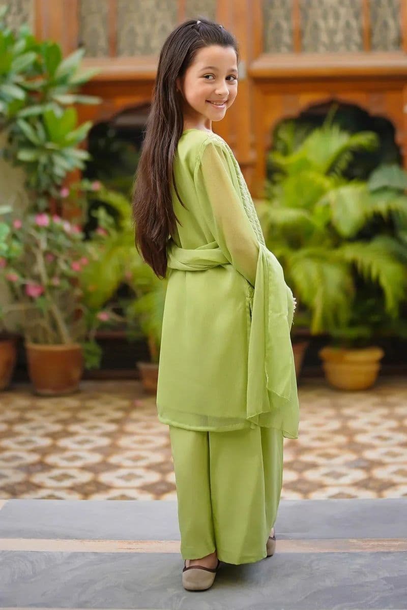 Chiffon Embroidered 3 Pc Suit