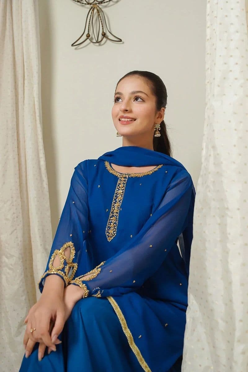Chiffon Hand Adda Work 3 Pc Suit