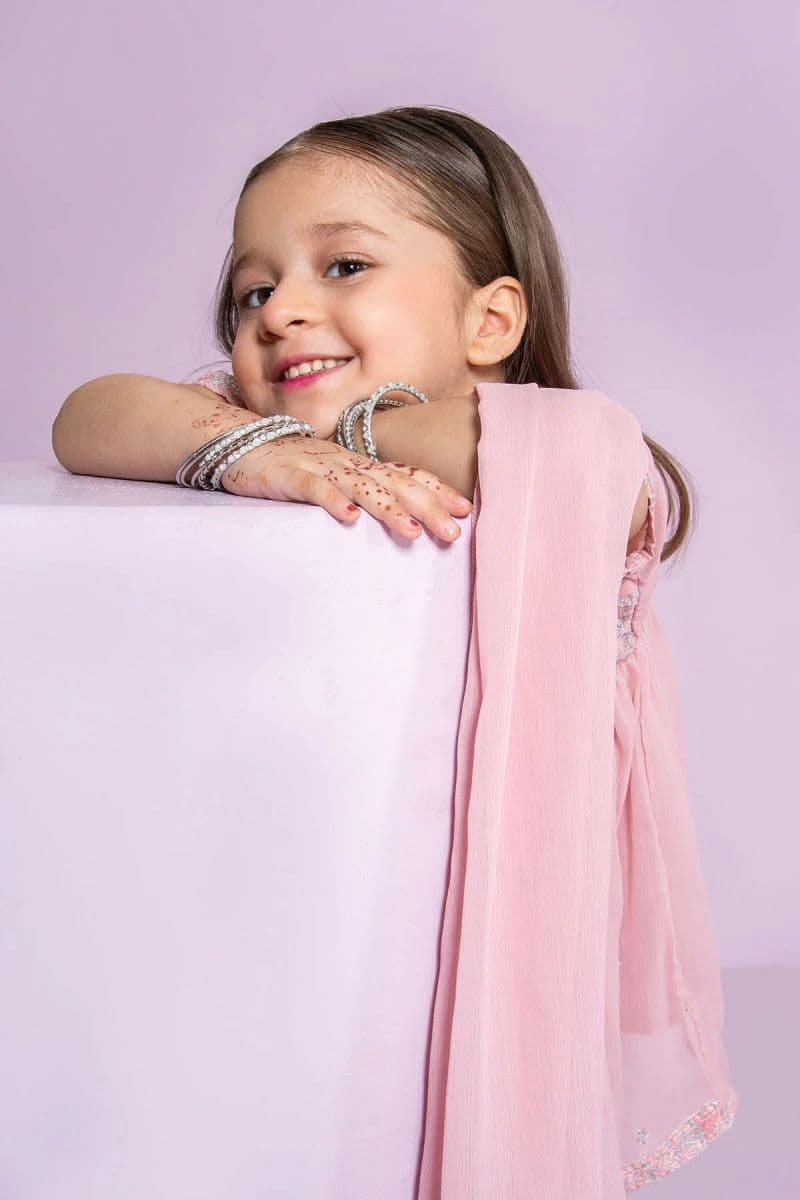 Chiffon Embroidered 3 Pc Suit thumbnail