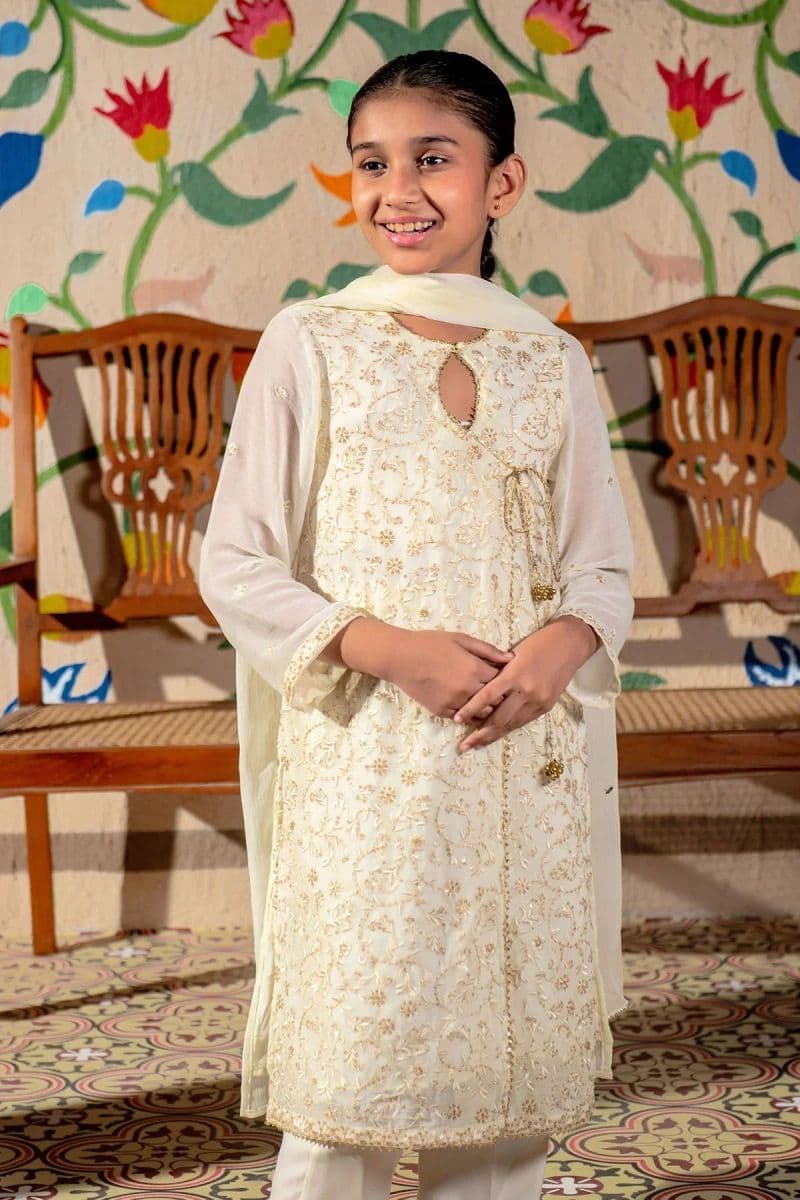 Chiffon Embroidered 3 Pc Suit thumbnail