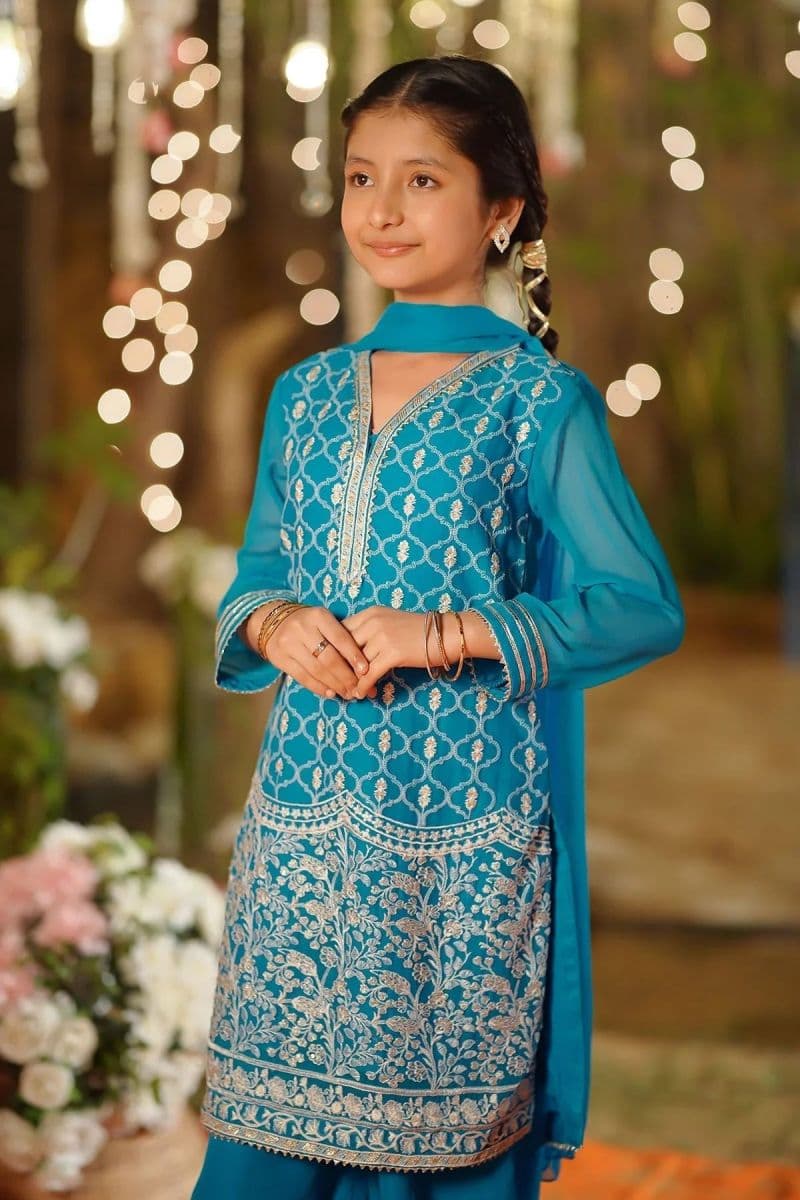 Chiffon Embroidered 3 Pc Suit
