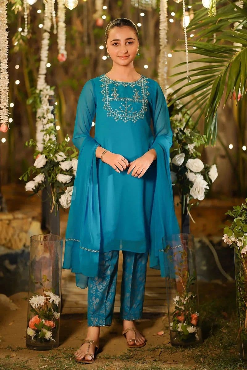 Chiffon Hand Adda Work 3 Pc Suit