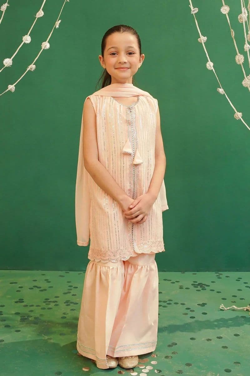 Chiffon Embroidered 3 Pc Suit thumbnail