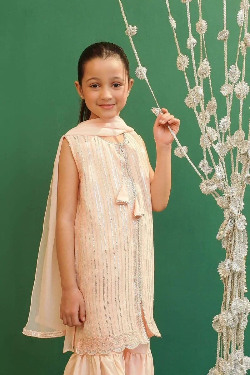 Chiffon Embroidered 3 Pc Suit thumbnail
