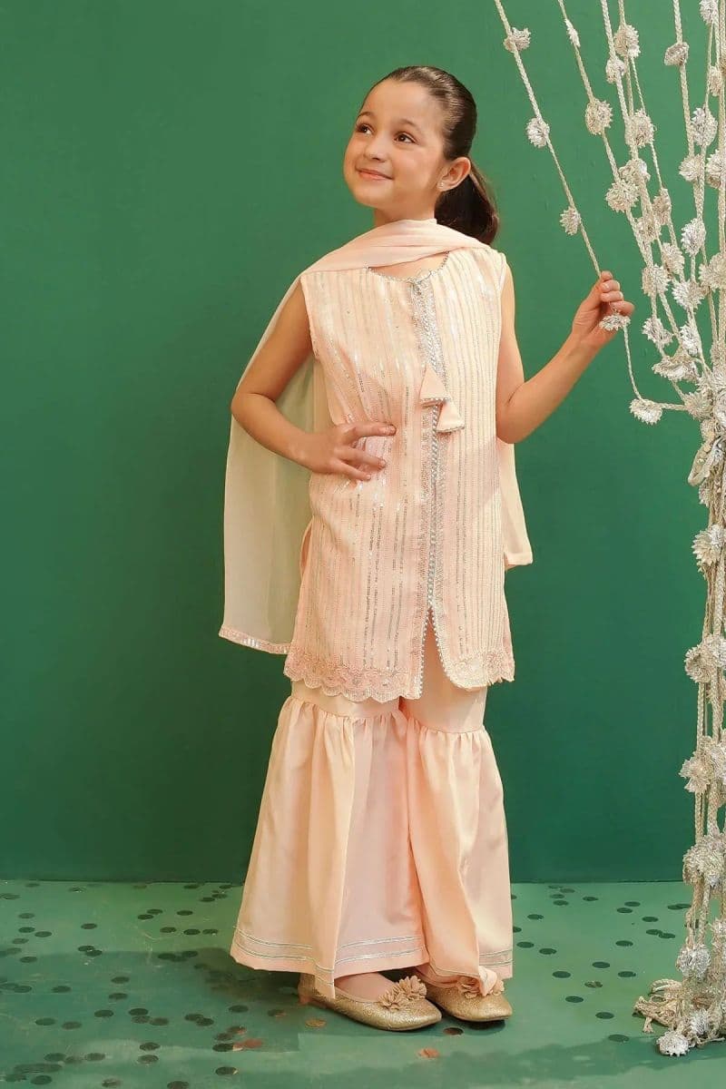 Chiffon Embroidered 3 Pc Suit thumbnail