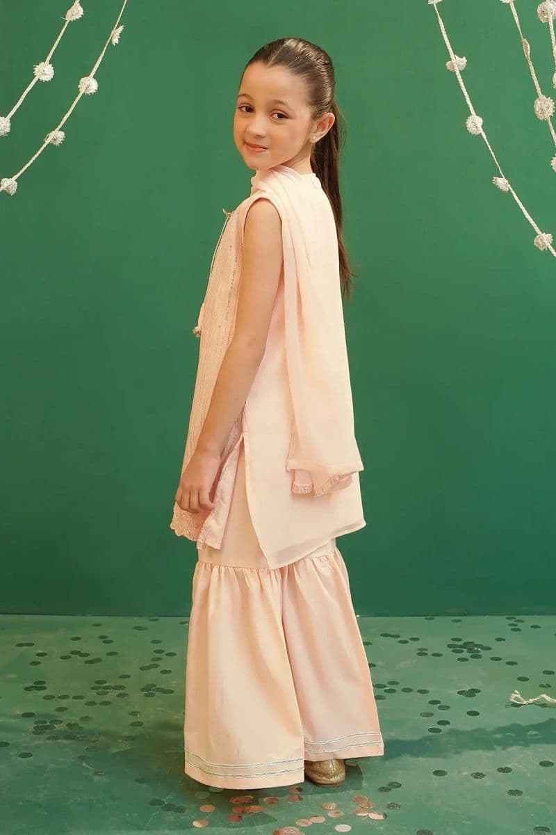 Chiffon Embroidered 3 Pc Suit thumbnail