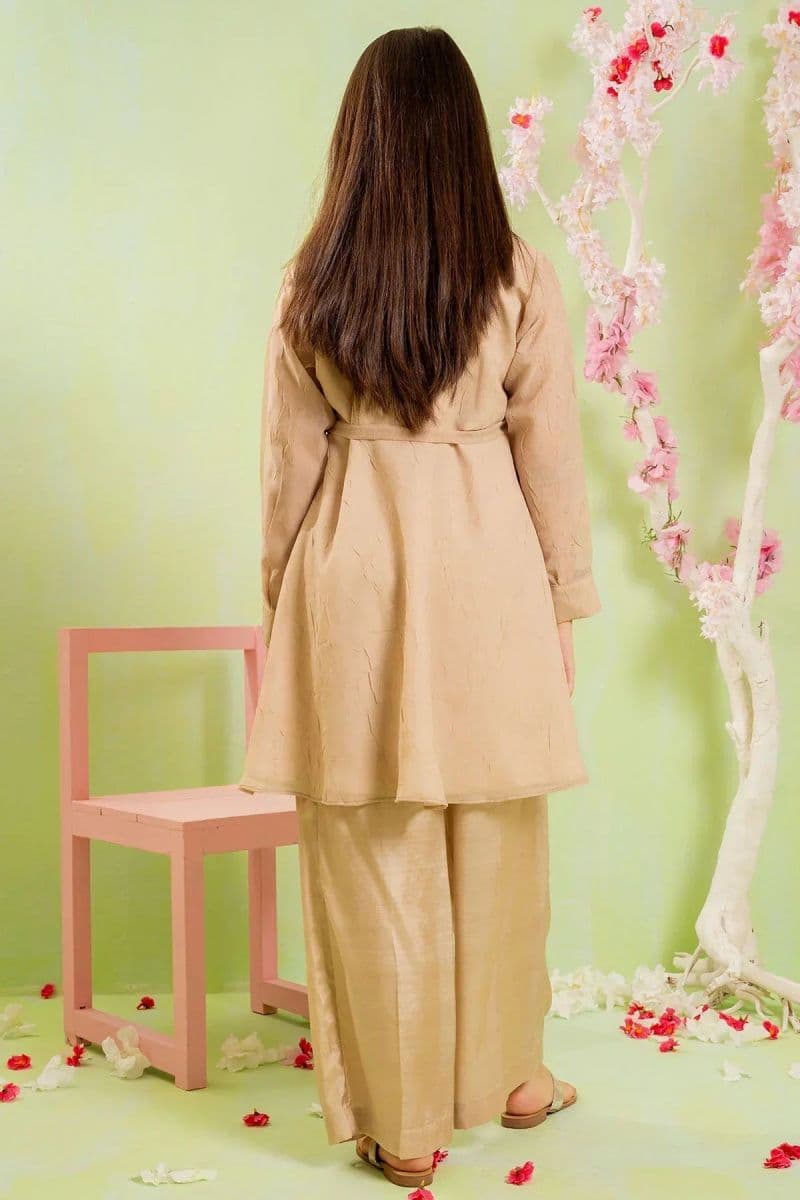 Organza Hand Adda Work 2 Pc Suit thumbnail