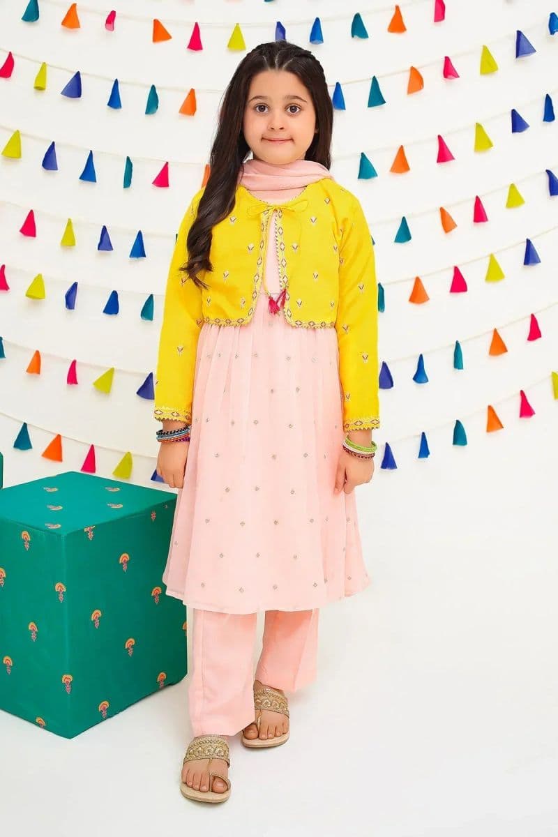 Chiffon Embroidered 3 Pc Suit thumbnail