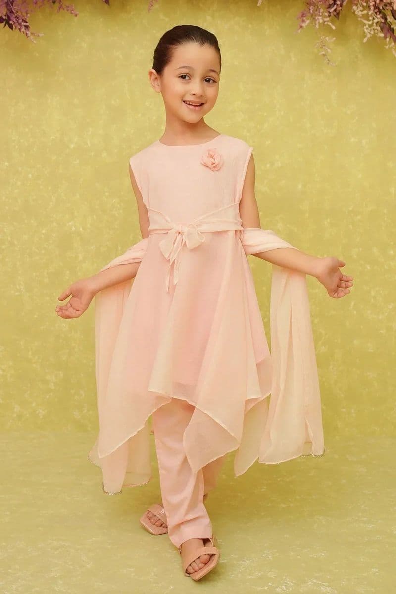Chiffon Embroidered 3 Pc Suit thumbnail