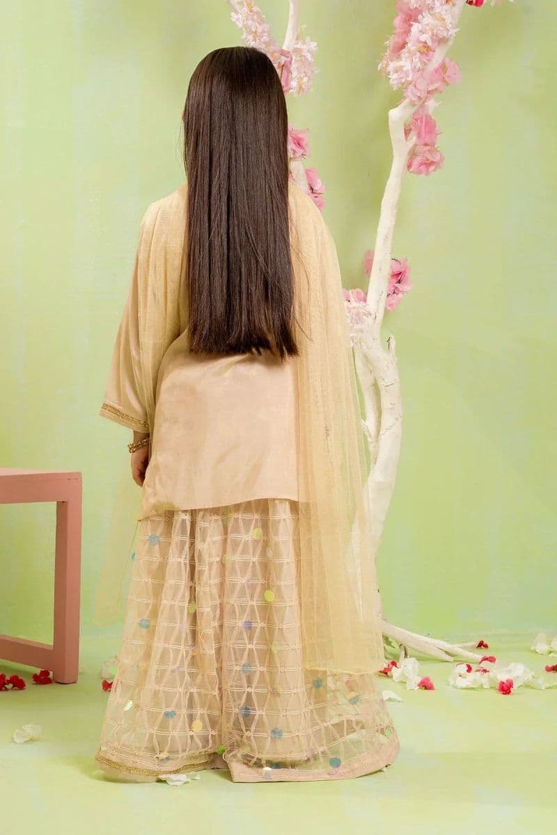 Cotton Silk 3 Pc Suit thumbnail