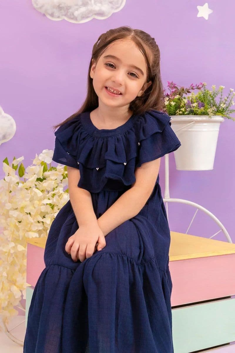 Chambray Cotton Dress