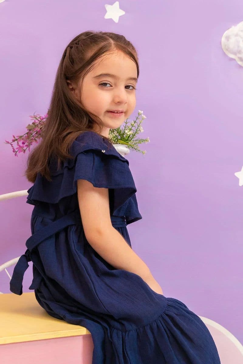 Chambray Cotton Dress