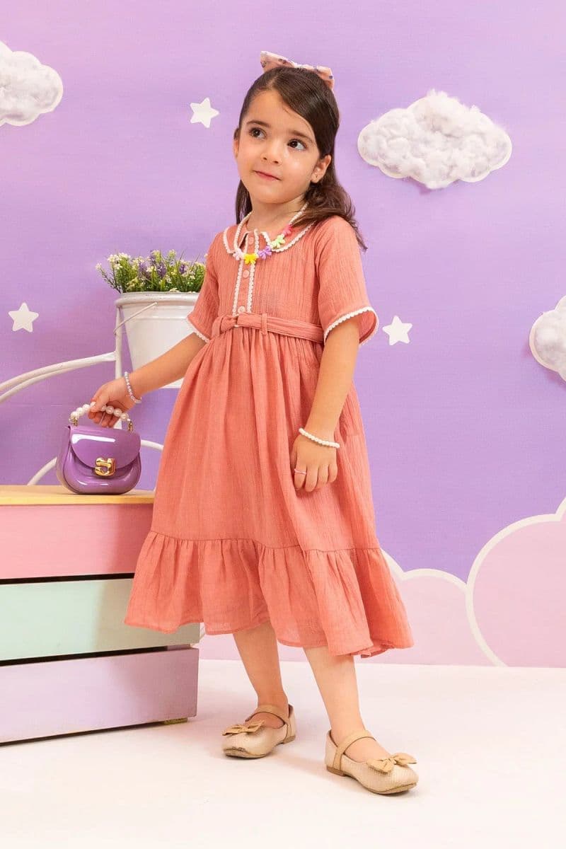 Chambray Cotton Dress thumbnail