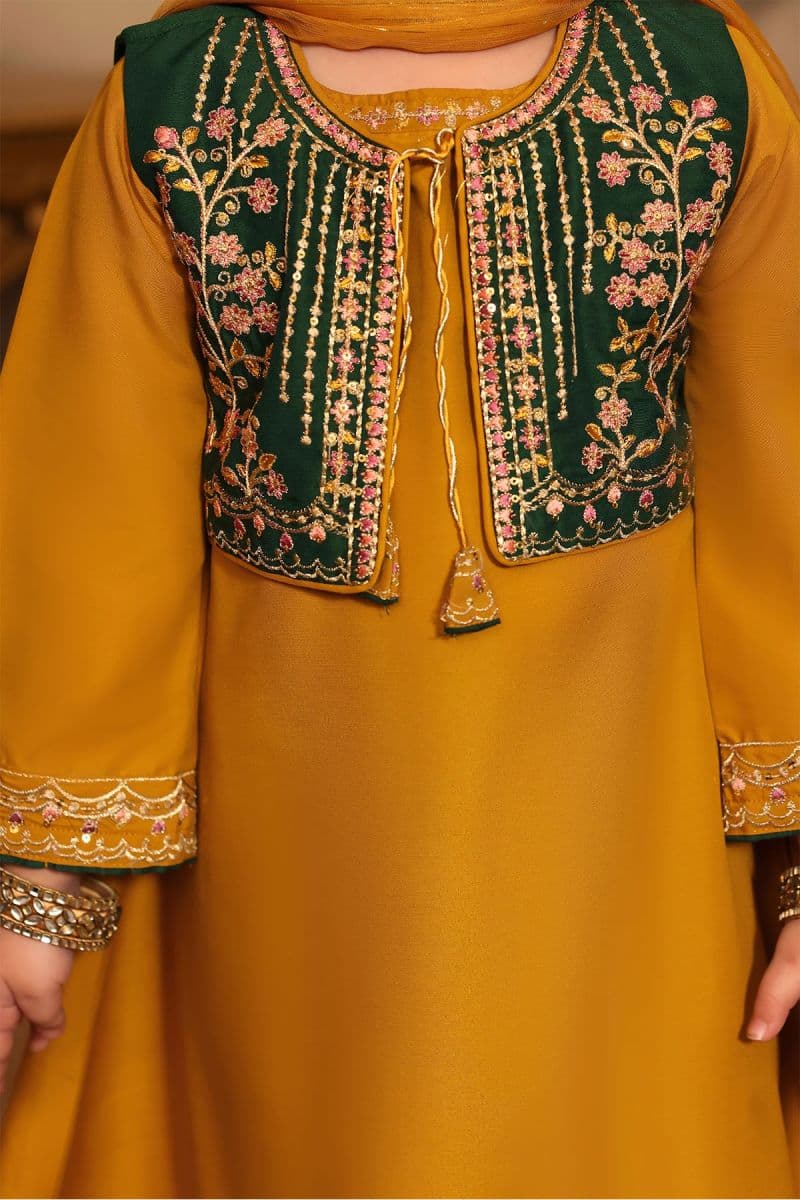 Raw Silk Embroidered 3 Pc Suit thumbnail