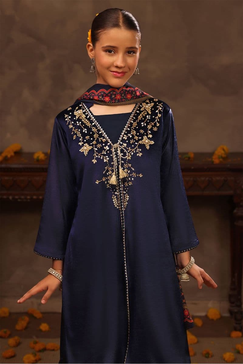 Velvet Hand Adda Work 3 Pc Suit