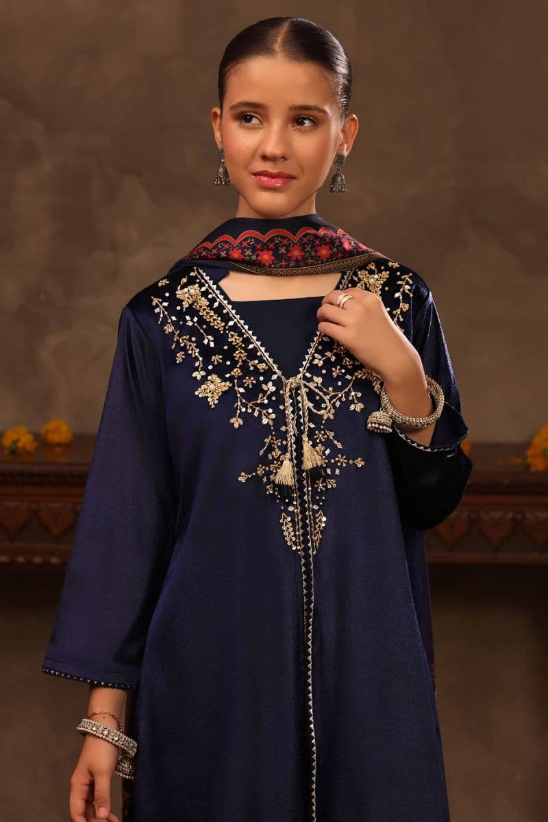 Velvet Hand Adda Work 3 Pc Suit