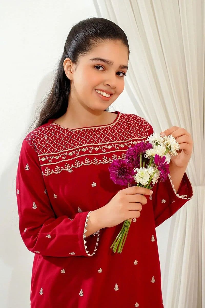 Cotton Embroidered 2 Pc Suit