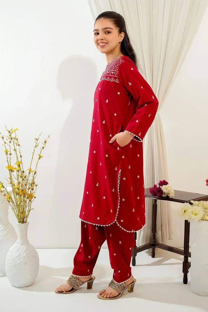 Cotton Embroidered 2 Pc Suit