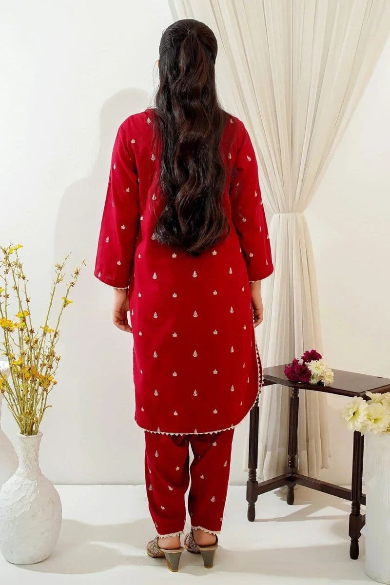 Cotton Embroidered 2 Pc Suit