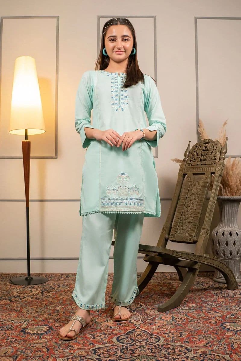 Cotton Embroidered 2 Pc Suit