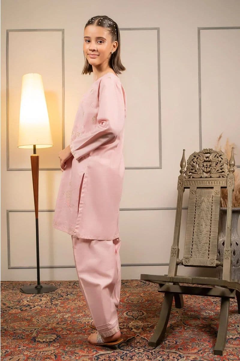 Cotton Embroidered 2 Pc Suit thumbnail