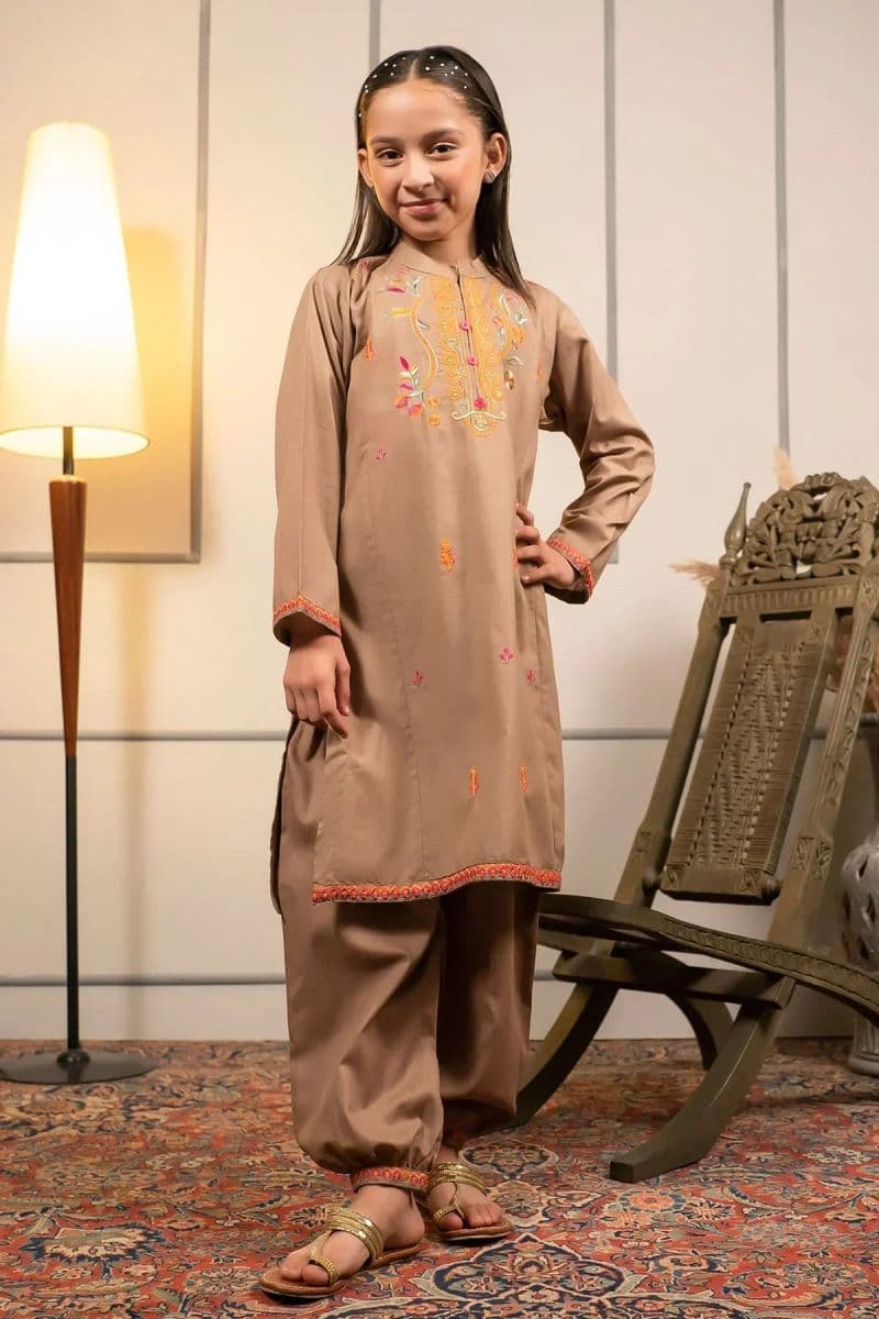 Cotton Embroidered 2 Pc Suit thumbnail