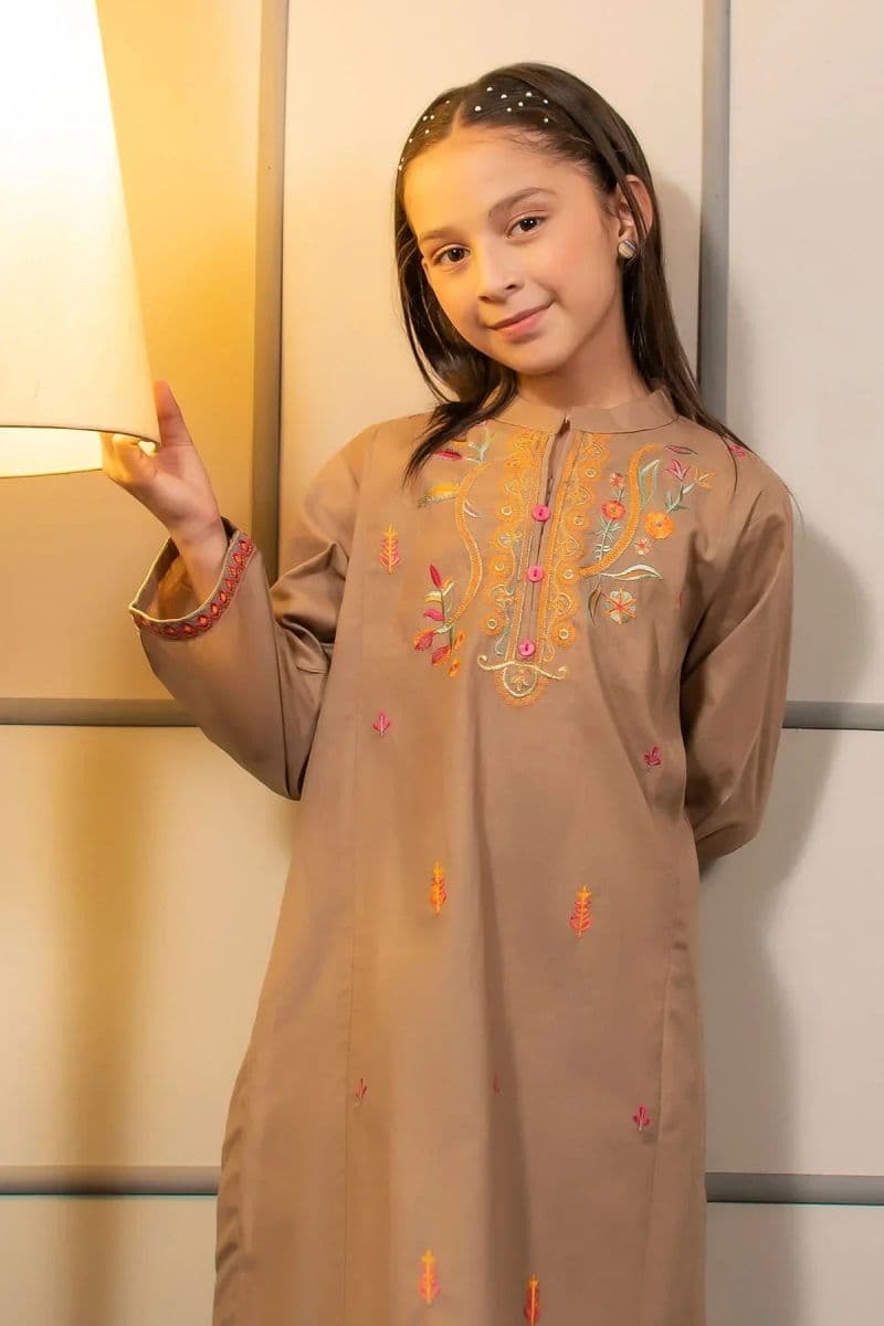 Cotton Embroidered 2 Pc Suit thumbnail