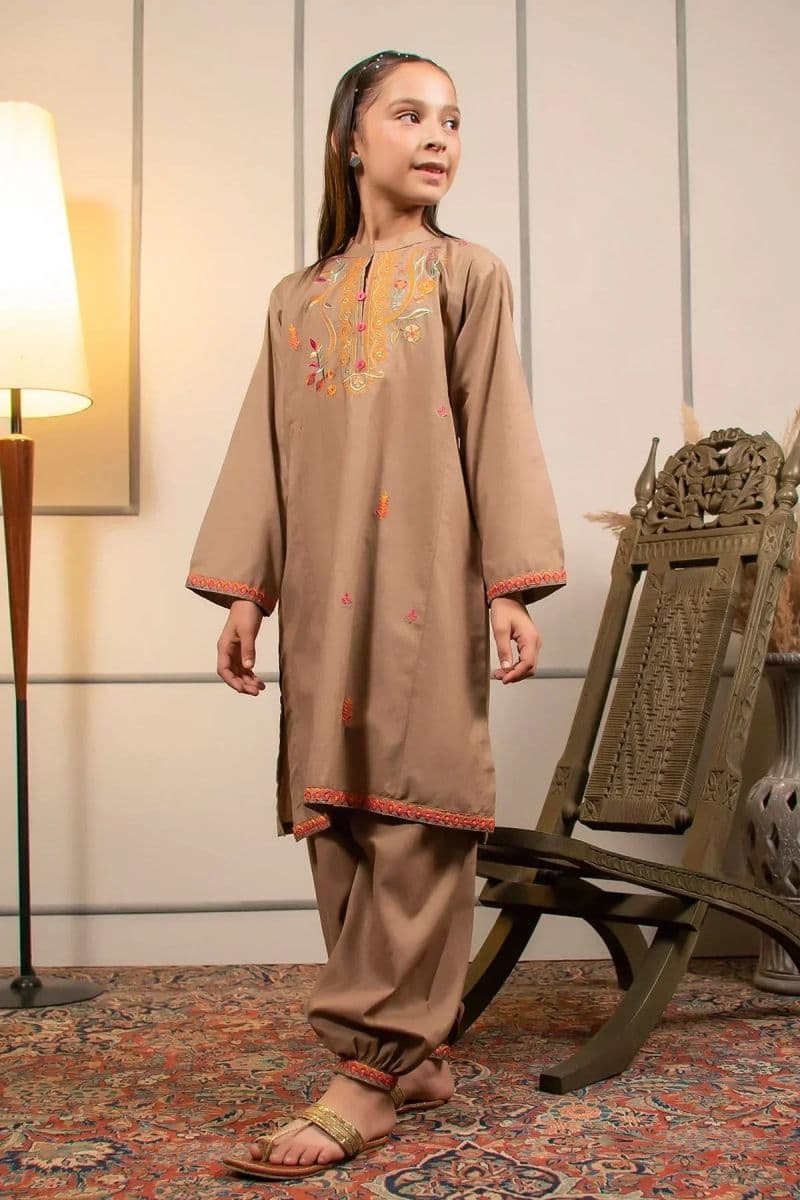 Cotton Embroidered 2 Pc Suit thumbnail