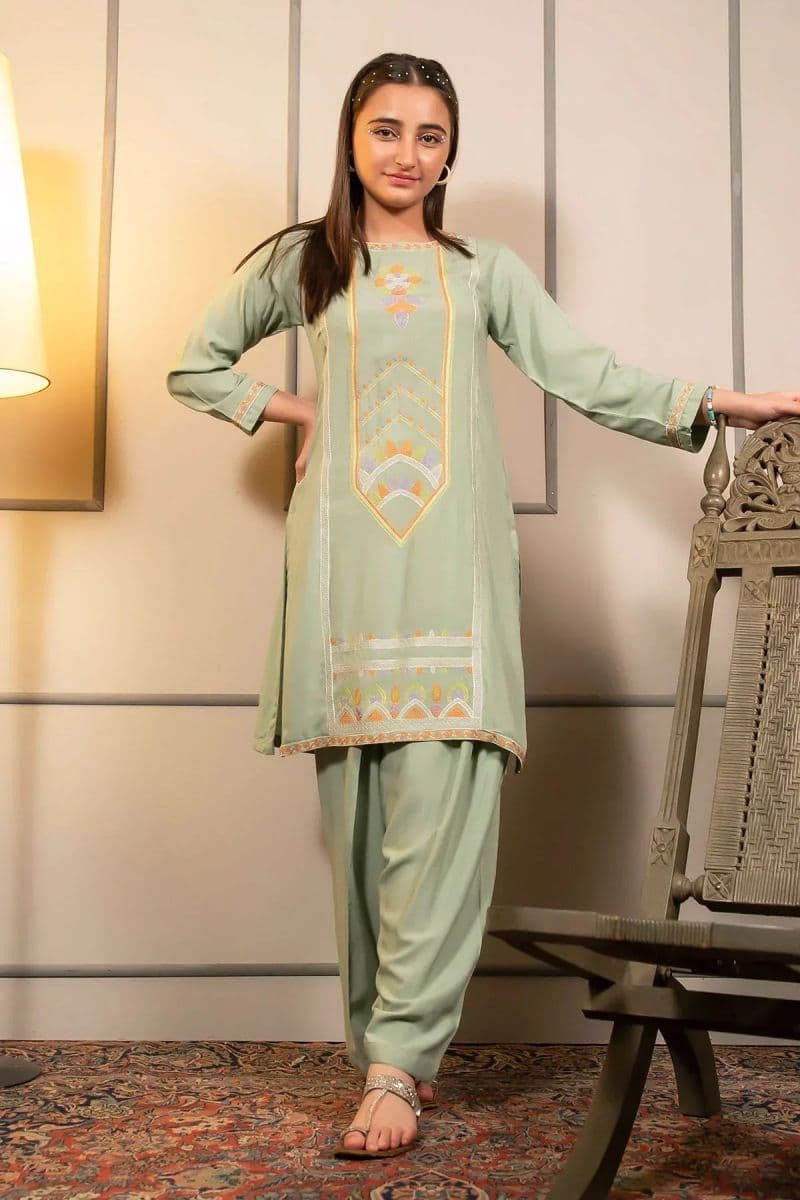 Cotton Embroidered 2 Pc Suit