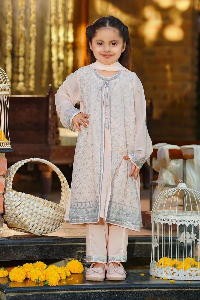 Chiffon Embroidered 3 Pc Suit thumbnail