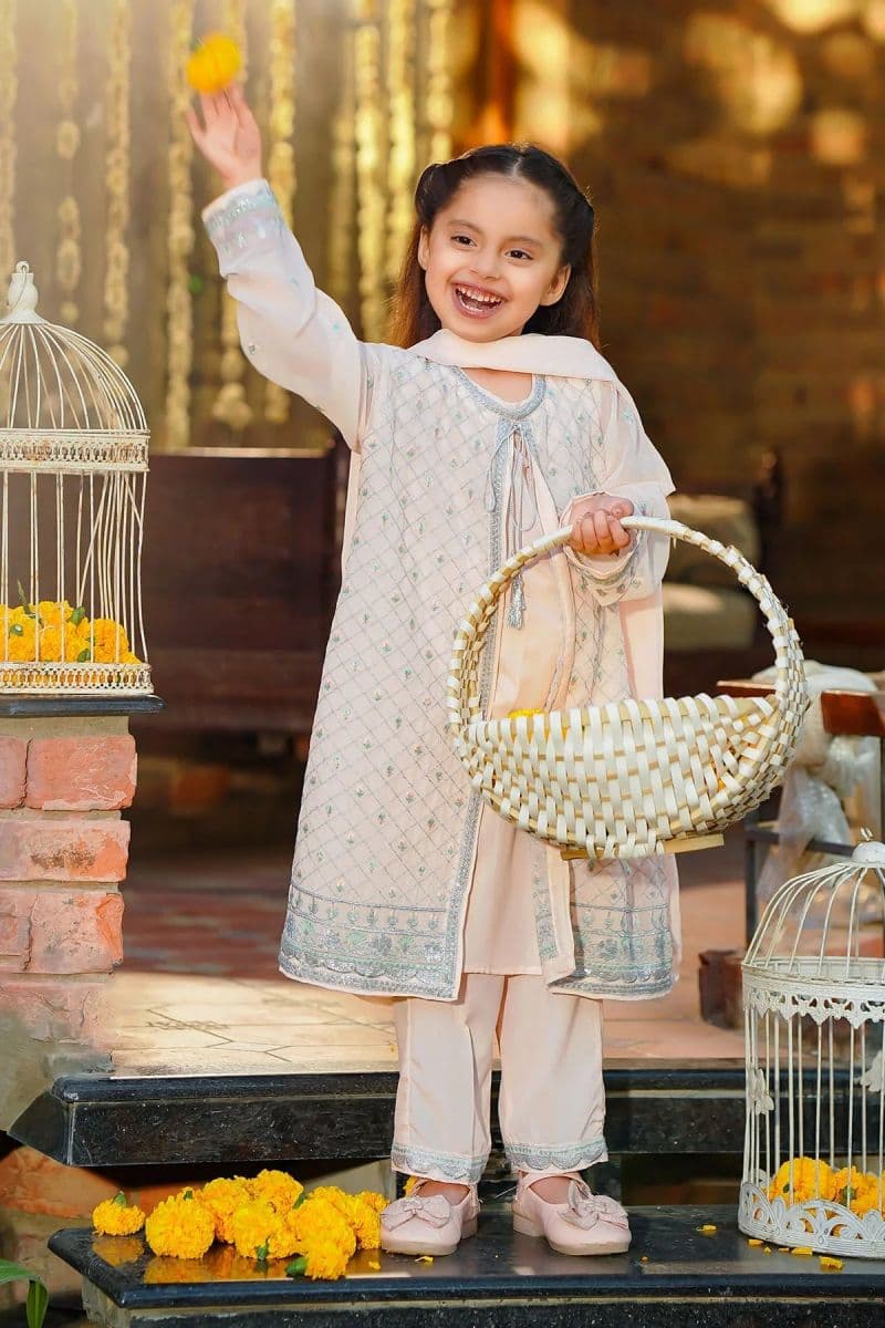 Chiffon Embroidered 3 Pc Suit thumbnail